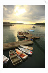 Moored boats, Acadia National Park, Maine, USA by Anonymous