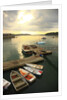 Moored boats, Acadia National Park, Maine, USA by Anonymous