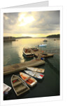 Moored boats, Acadia National Park, Maine, USA by Anonymous