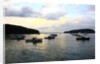 Boats on water, Acadia National Park, Maine, USA by Anonymous