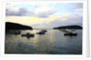 Boats on water, Acadia National Park, Maine, USA by Anonymous