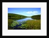 View of lake, cadia National Park, Maine, USA by Anonymous
