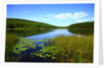 View of lake, cadia National Park, Maine, USA by Anonymous