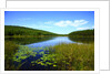 View of lake, cadia National Park, Maine, USA by Anonymous