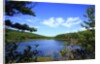 View of lake, cadia National Park, Maine, USA by Anonymous