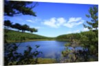 View of lake, cadia National Park, Maine, USA by Anonymous