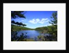 View of lake, cadia National Park, Maine, USA by Anonymous
