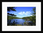 View of lake, cadia National Park, Maine, USA by Anonymous