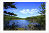 View of lake, cadia National Park, Maine, USA by Anonymous