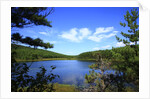 View of lake, cadia National Park, Maine, USA by Anonymous