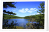 View of lake, cadia National Park, Maine, USA by Anonymous