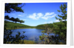 View of lake, cadia National Park, Maine, USA by Anonymous
