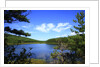 View of lake, cadia National Park, Maine, USA by Anonymous