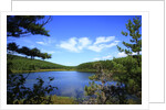 View of lake, cadia National Park, Maine, USA by Anonymous