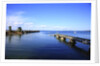 Long pier and sea, Acadia National Park, Maine, USA by Anonymous