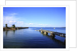 Long pier and sea, Acadia National Park, Maine, USA by Anonymous