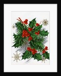 Christmas Greetings with Holly Leaves and Berries by Anonymous