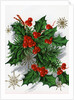 Christmas Greetings with Holly Leaves and Berries by Anonymous