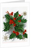 Christmas Greetings with Holly Leaves and Berries by Anonymous