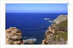 Coastline, San Pietro island, Carloforte, Sardinia, Italy by Anonymous