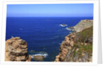 Coastline, San Pietro island, Carloforte, Sardinia, Italy by Anonymous