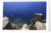Coastline, San Pietro island, Carloforte, Sardinia, Italy by Anonymous