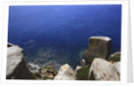 Coastline, San Pietro island, Carloforte, Sardinia, Italy by Anonymous