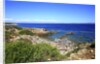 Rocky coastline, San Pietro island, Carloforte, Sardinia, Italy by Anonymous
