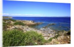 Rocky coastline, San Pietro island, Carloforte, Sardinia, Italy by Anonymous