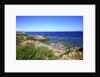 Rocky coastline, San Pietro island, Carloforte, Sardinia, Italy by Anonymous