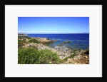 Rocky coastline, San Pietro island, Carloforte, Sardinia, Italy by Anonymous