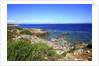 Rocky coastline, San Pietro island, Carloforte, Sardinia, Italy by Anonymous