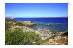 Rocky coastline, San Pietro island, Carloforte, Sardinia, Italy by Anonymous