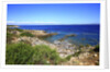 Rocky coastline, San Pietro island, Carloforte, Sardinia, Italy by Anonymous