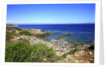 Rocky coastline, San Pietro island, Carloforte, Sardinia, Italy by Anonymous