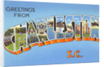Greetings from Charleston, South Carolina by Anonymous