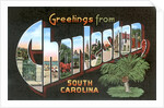 Greetings from Charleston, South Carolina by Anonymous