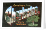 Greetings from Charleston, South Carolina by Anonymous