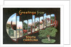 Greetings from Charleston, South Carolina by Anonymous