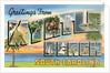 Greetings from Myrtle Beach, South Carolina by Anonymous