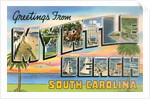 Greetings from Myrtle Beach, South Carolina by Anonymous