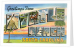 Greetings from Myrtle Beach, South Carolina by Anonymous