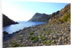 Rocky beach and sea, San Pietro island, Carloforte, Sardinia, Italy by Anonymous