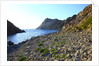 Rocky beach and sea, San Pietro island, Carloforte, Sardinia, Italy by Anonymous