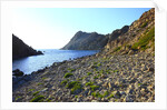 Rocky beach and sea, San Pietro island, Carloforte, Sardinia, Italy by Anonymous