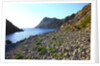 Rocky beach and sea, San Pietro island, Carloforte, Sardinia, Italy by Anonymous