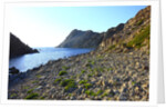 Rocky beach and sea, San Pietro island, Carloforte, Sardinia, Italy by Anonymous