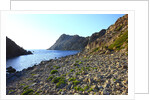 Rocky beach and sea, San Pietro island, Carloforte, Sardinia, Italy by Anonymous