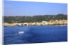 View of town on coast, Carloforte, San Pietro island, Sardinia, Italy by Anonymous