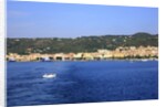View of town on coast, Carloforte, San Pietro island, Sardinia, Italy by Anonymous
